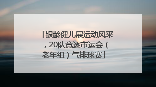 银龄健儿展运动风采，20队竞逐市运会（老年组）气排球赛