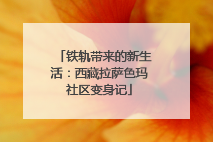 铁轨带来的新生活：西藏拉萨色玛社区变身记