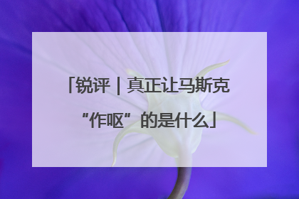 锐评｜真正让马斯克“作呕”的是什么