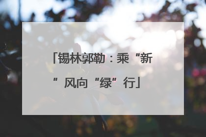 锡林郭勒：乘“新”风向“绿”行