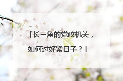 长三角的党政机关，如何过好紧日子？