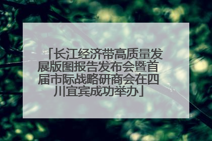 长江经济带高质量发展版图报告发布会暨首届市际战略研商会在四川宜宾成功举办