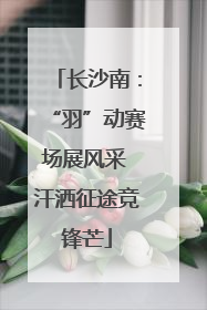 长沙南：“羽”动赛场展风采 汗洒征途竞锋芒