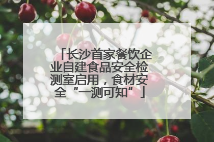 长沙首家餐饮企业自建食品安全检测室启用，食材安全“一测可知”