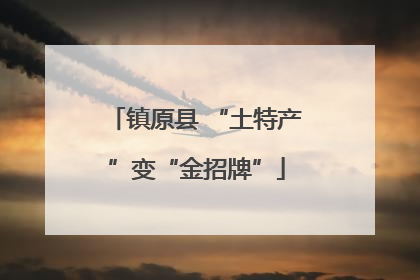 镇原县 “土特产”变“金招牌”