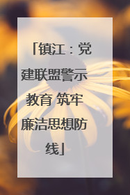镇江：党建联盟警示教育 筑牢廉洁思想防线