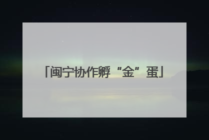 闽宁协作孵“金”蛋
