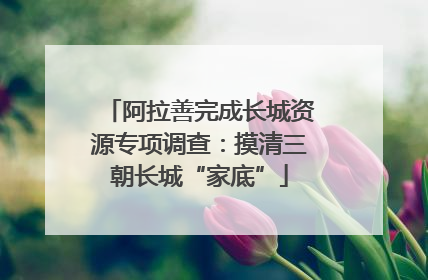 阿拉善完成长城资源专项调查：摸清三朝长城“家底”