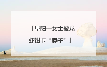 阜阳一女士被龙虾钳卡“脖子”