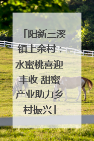 阳新三溪镇上余村：水蜜桃喜迎丰收 甜蜜产业助力乡村振兴