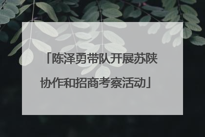 陈泽勇带队开展苏陕协作和招商考察活动