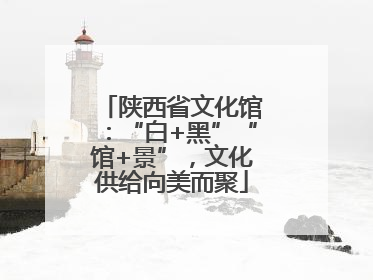 陕西省文化馆：“白+黑”“馆+景”，文化供给向美而聚