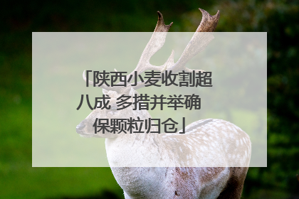 陕西小麦收割超八成 多措并举确保颗粒归仓