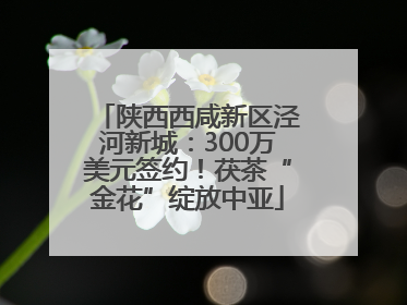 陕西西咸新区泾河新城：300万美元签约！茯茶“金花”绽放中亚