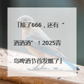 除了666，还有“酒酒酒”！2025青岛啤酒节首发燃了