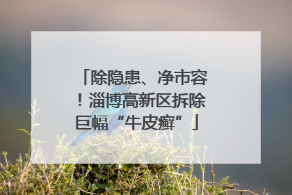 除隐患、净市容！淄博高新区拆除巨幅“牛皮癣”
