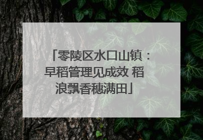 零陵区水口山镇：早稻管理见成效 稻浪飘香穗满田
