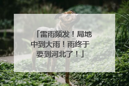 雷雨频发！局地中到大雨！雨终于要到河北了！