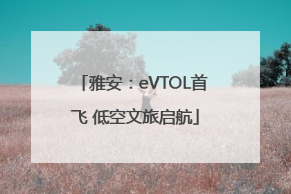 雅安：eVTOL首飞 低空文旅启航