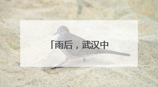 雨后，武汉中央商务区三地铁站皆畅通