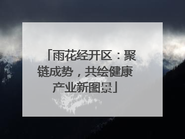 雨花经开区：聚链成势，共绘健康产业新图景