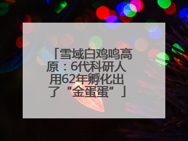 雪域白鸡鸣高原：6代科研人用62年孵化出了“金蛋蛋”