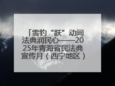 雪豹“跃”动间 法典润民心——2025年青海省民法典宣传月（西宁地区）主场活动见闻