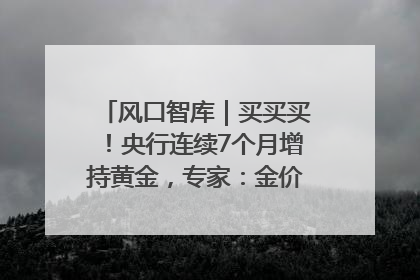 风口智库｜买买买！央行连续7个月增持黄金，专家：金价或仍易涨难跌