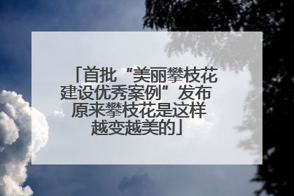 首批“美丽攀枝花建设优秀案例”发布 原来攀枝花是这样越变越美的