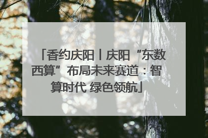 香约庆阳丨庆阳“东数西算”布局未来赛道：智算时代 绿色领航