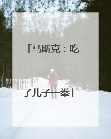 马斯克：吃了儿子一拳