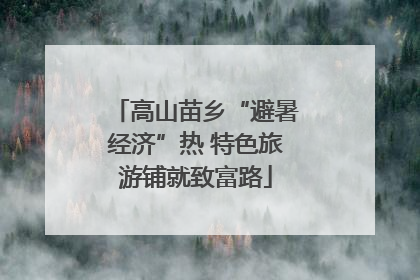 高山苗乡“避暑经济”热 特色旅游铺就致富路