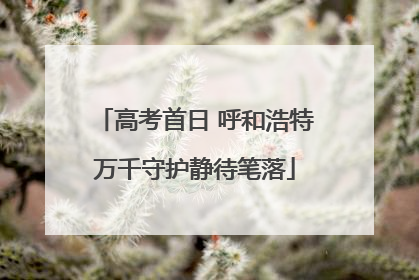 高考首日 呼和浩特万千守护静待笔落