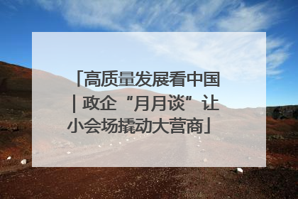 高质量发展看中国｜政企“月月谈”让小会场撬动大营商