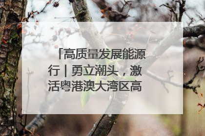 高质量发展能源行｜勇立潮头，激活粤港澳大湾区高质量发展动力源