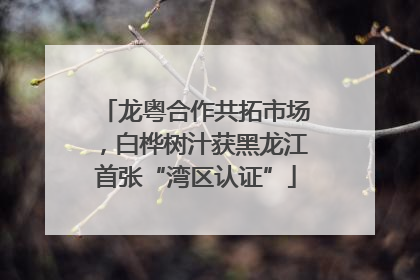 龙粤合作共拓市场，白桦树汁获黑龙江首张“湾区认证”