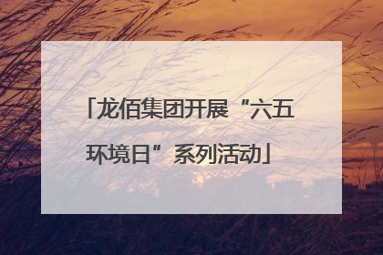 龙佰集团开展“六五环境日”系列活动