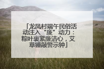 龙凤村端午民俗活动注入“廉”动力：粽叶裹紧廉洁心，艾草锤敲警示钟
