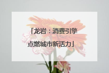 龙岩：消费引擎点燃城市新活力