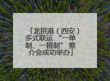 龙拱港（西安）多式联运 “一单制、一箱制” 推介会成功举办