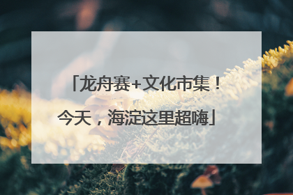 龙舟赛+文化市集！今天，海淀这里超嗨