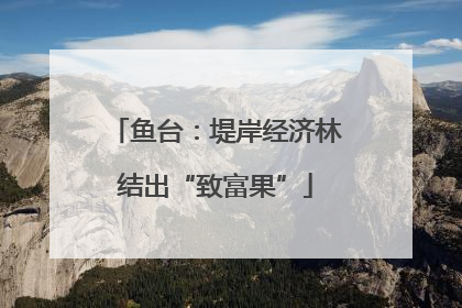 鱼台：堤岸经济林结出“致富果”
