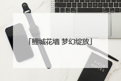 鲤城花墙 梦幻绽放