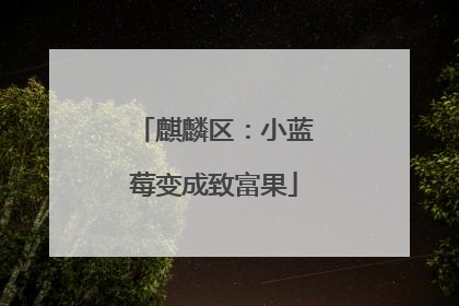 麒麟区：小蓝莓变成致富果