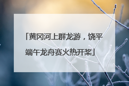 黄冈河上群龙游，饶平端午龙舟赛火热开桨