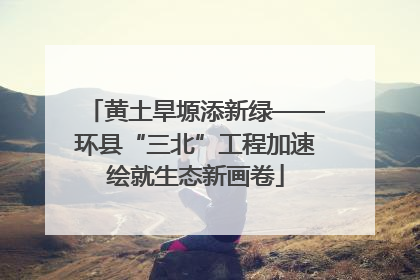 黄土旱塬添新绿——环县“三北”工程加速绘就生态新画卷
