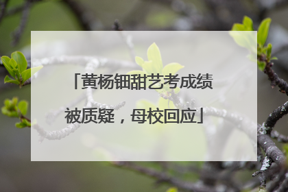 黄杨钿甜艺考成绩被质疑，母校回应