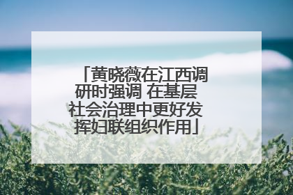 黄晓薇在江西调研时强调 在基层社会治理中更好发挥妇联组织作用