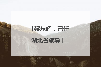 黎东辉，已任湖北省领导