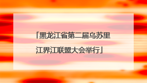 黑龙江省第二届乌苏里江界江联盟大会举行